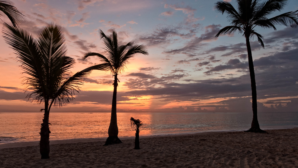 Tropical Beach