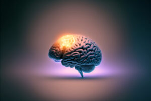 Idea Brain
